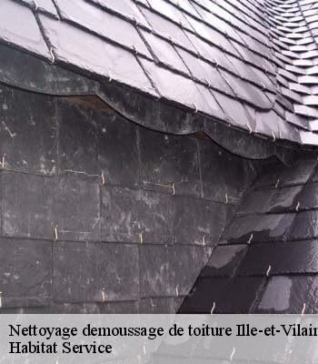 Nettoyage demoussage de toiture