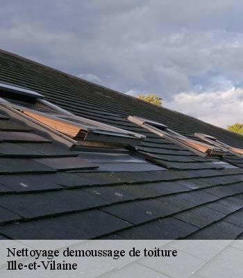 Nettoyage demoussage de toiture
