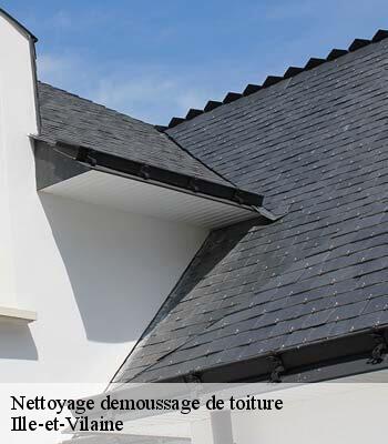 Nettoyage demoussage de toiture