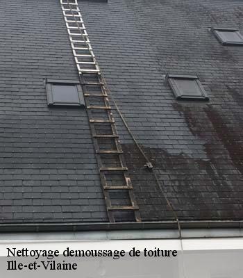 Nettoyage demoussage de toiture
