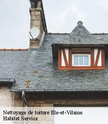 Nettoyage de toiture