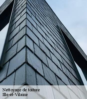 Nettoyage de toiture