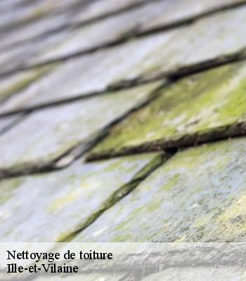 Nettoyage de toiture