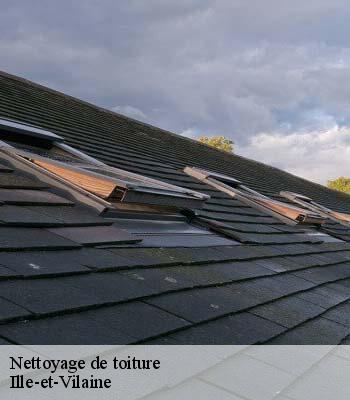 Nettoyage de toiture