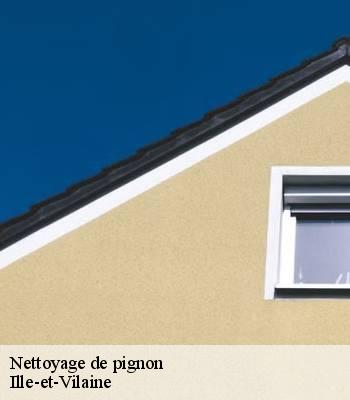 Nettoyage de pignon