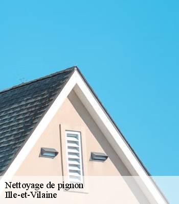 Nettoyage de pignon