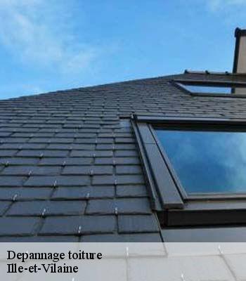 Depannage toiture