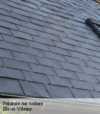 Peinture sur toiture