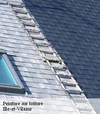 Peinture sur toiture