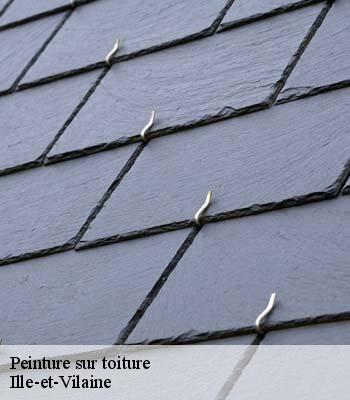 Peinture sur toiture