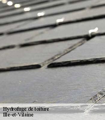 Hydrofuge de toiture