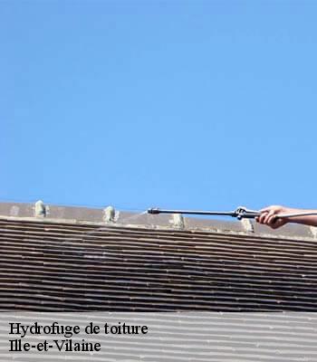 Hydrofuge de toiture