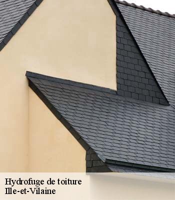 Hydrofuge de toiture