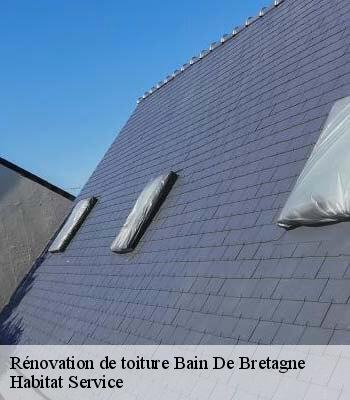 Rénovation de toiture