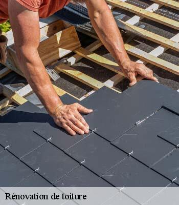 Rénovation de toiture