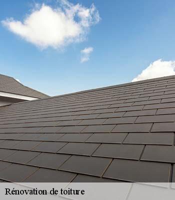Rénovation de toiture