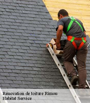 Rénovation de toiture