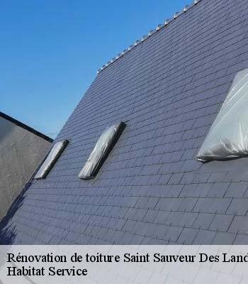 Rénovation de toiture