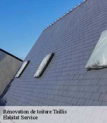 Rénovation de toiture