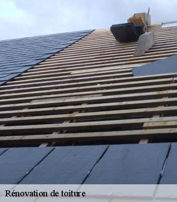 Rénovation de toiture