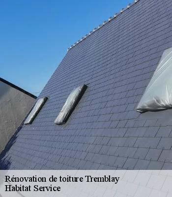 Rénovation de toiture