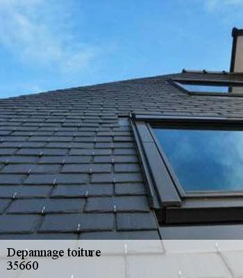 Depannage toiture