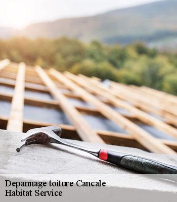 Depannage toiture