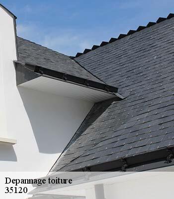 Depannage toiture