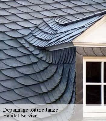 Depannage toiture