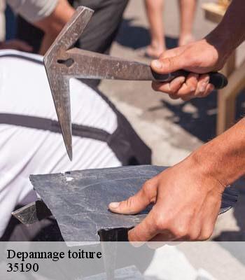 Depannage toiture