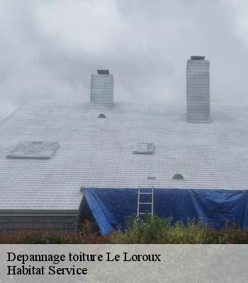 Depannage toiture