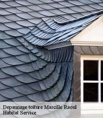 Depannage toiture