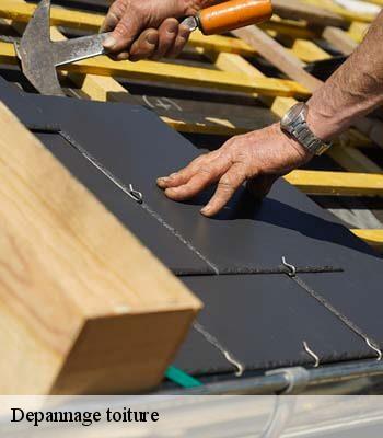 Depannage toiture