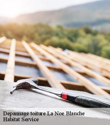 Depannage toiture