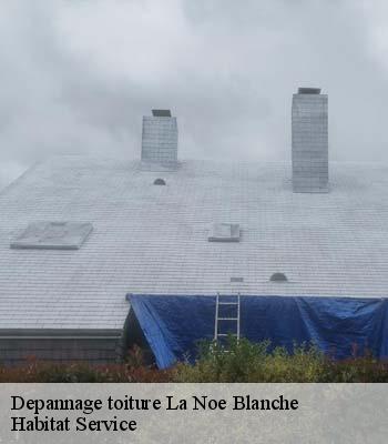 Depannage toiture