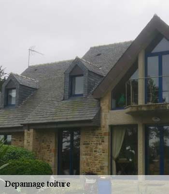 Depannage toiture