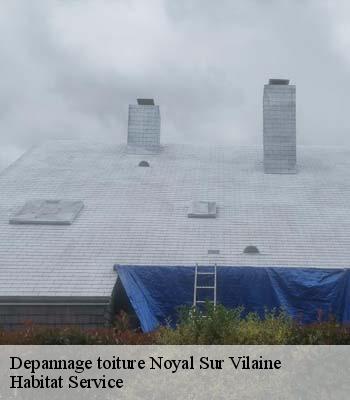 Depannage toiture
