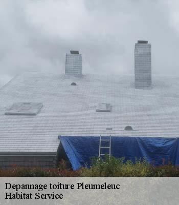 Depannage toiture