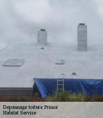 Depannage toiture