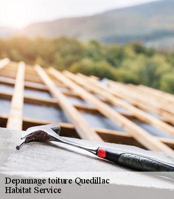 Depannage toiture
