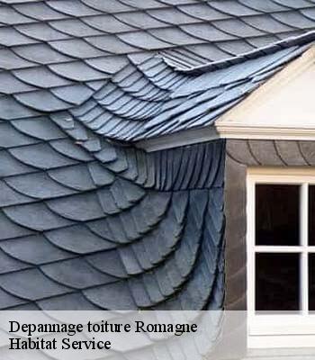 Depannage toiture