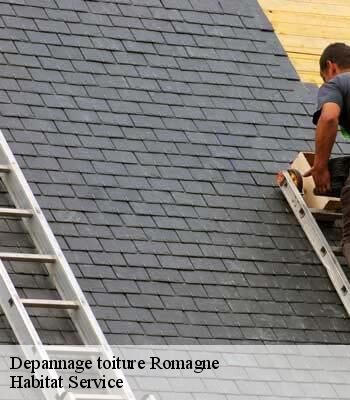 Depannage toiture