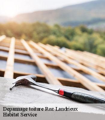Depannage toiture
