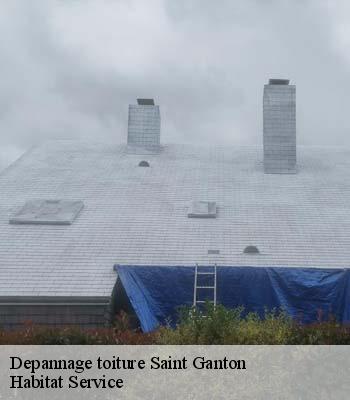 Depannage toiture