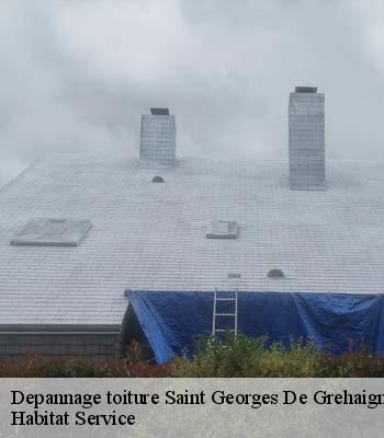 Depannage toiture