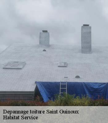 Depannage toiture