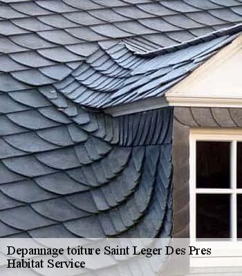 Depannage toiture