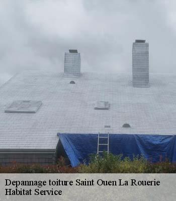 Depannage toiture