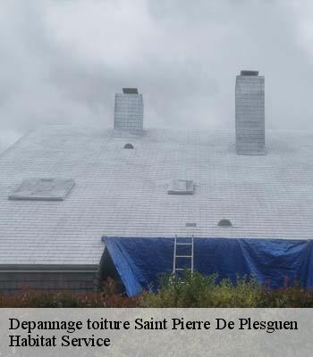 Depannage toiture