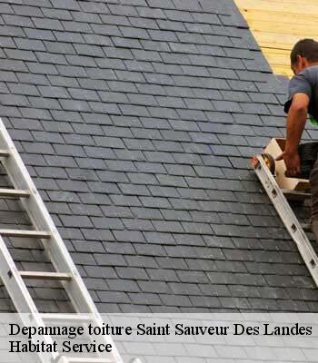 Depannage toiture